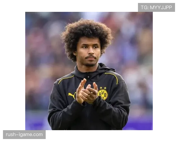 阿德耶米技术全面性解析