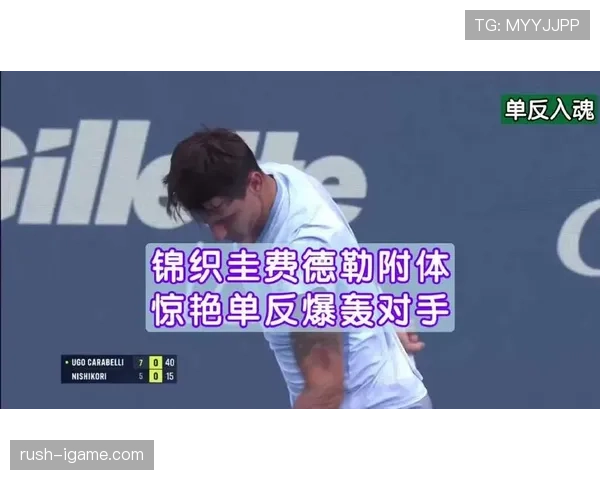 费德勒家的狗都比我会花钱